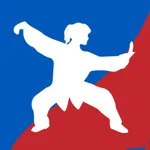 智能叶氏太极拳 icon