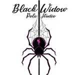 Black Widow Pole Studio icon