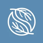Noga icon