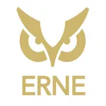 ERNE Pickleball icon