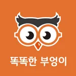 smartowl 똑똑한부엉이 icon