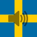 Swedish Phrasebook icon