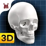 Marbel Sains : Anatomi Manusia icon