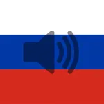 Russian Phrasebook (Travel) icon