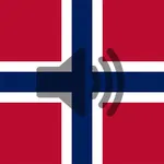 Norwegian Phrasebook icon