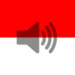 Indonesian Phrasebook (Travel) icon