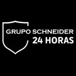 Grupo Schneider icon