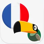 Frenchify - Learn French Now icon