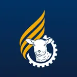 Lamb Business icon