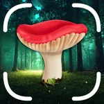 Mushroom Identifier App: Fungi icon