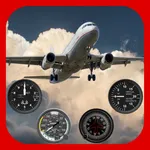 RLM-Flight icon