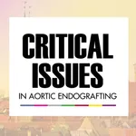 Critical Issues 2023 icon