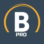 Blouwy Pro for professionals. icon