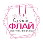 Студия растяжки в гамаках ФЛАЙ icon