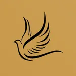 Comuel - Comunidade El Shaddai icon