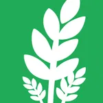Rize icon