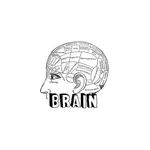 Brain world icon