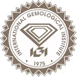 IGI Certificate icon