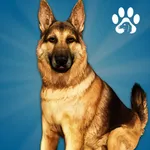 Animal Shelter Dog Simulator icon