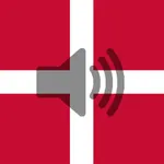 Danish Phrasebook icon