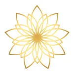 Prana Flow Yoga & Terapi icon