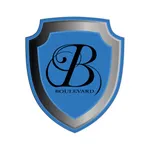 Boulevard Pro Chauffeur icon