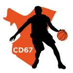 CD67 Basket icon