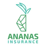 Ananas Insurance icon