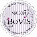 Maison Bovis icon