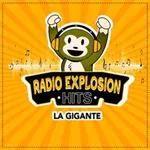 Radio Explosion Hits - FM icon