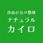 ナチュラルカイロプラクティック院 icon