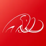 MoyaPro icon