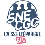 SNE-CGC CEBFC icon