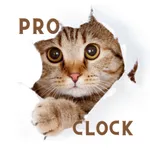Cat Clock App Pro.No Ads icon