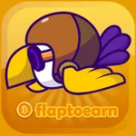 Flap To Earn icon