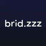 brid.zzz icon