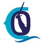 Corsaire icon