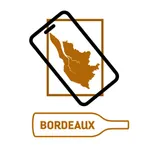 Bordeaux Immersive Map icon