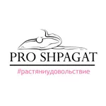 PRO SHPAGAT icon