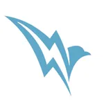 FlashBird Driver icon