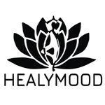 HealyMood icon