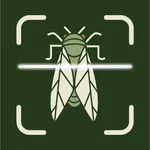 Bug Insect Identification icon