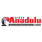 Niğde Anadolu Haber icon