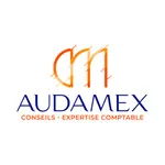 AUDAMEX icon