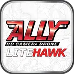 LH ALLY icon