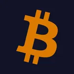 Bitcoin Blockchain Explorer icon