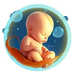 Pregnancy Tracker - Mia icon