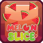 Melon Slice icon