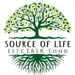 Source Of Life icon