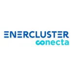 EnerclusterConecta icon
